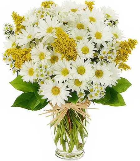 Mixed Valentine's Blooms