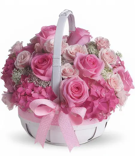 Two Dozen Premium Roses