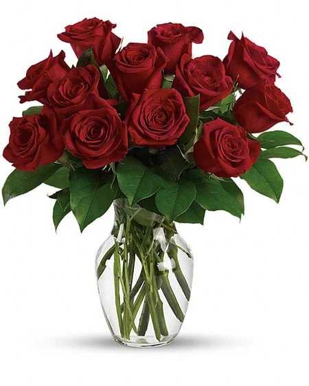 Classic Red Roses